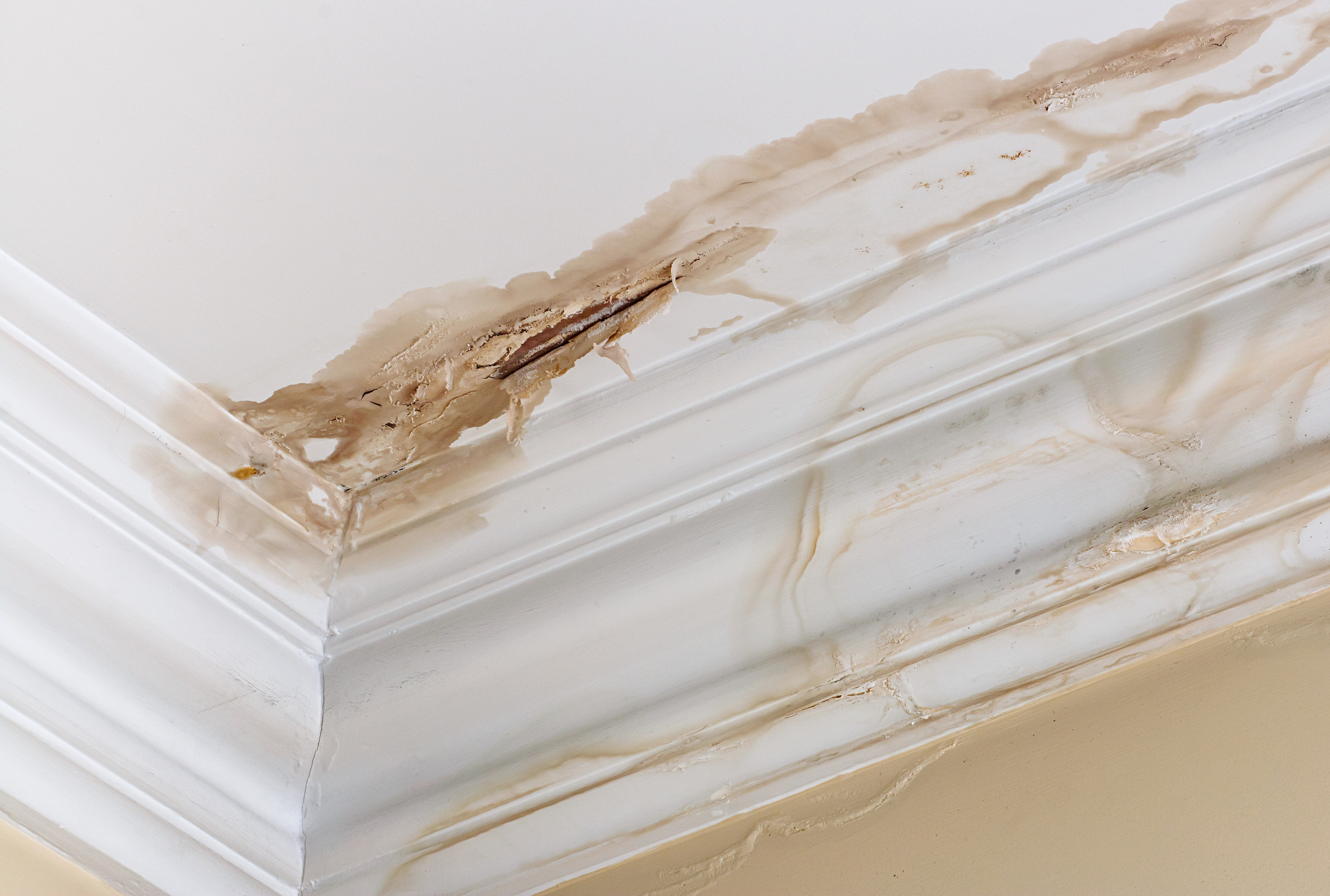 slab leak in floor